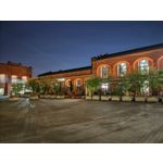 Zdjęcia użytkowników Honor Magic6 Pro