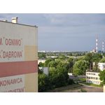 Zdjęcia użytkowników Honor Magic6 Pro