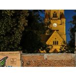 Zdjęcia użytkowników Honor Magic6 Pro