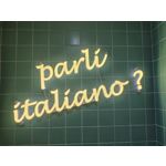 Zdjęcia użytkowników Honor Magic6 Pro