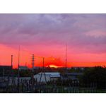 Zdjęcia użytkowników Honor Magic6 Pro