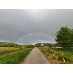 Zdjęcia użytkowników Honor Magic6 Pro