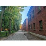 Zdjęcia użytkowników Honor Magic6 Pro