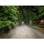 Zdjęcia użytkowników Honor Magic6 Pro