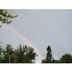 Zdjęcia użytkowników Honor Magic6 Pro