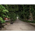 Zdjęcia użytkowników Honor Magic6 Pro