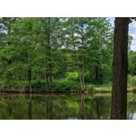 Zdjęcia użytkowników Honor Magic6 Pro