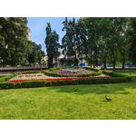 Zdjęcia użytkowników Honor Magic6 Pro