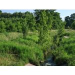 Zdjęcia użytkowników Honor Magic6 Pro