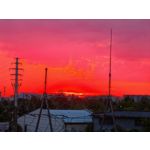 Zdjęcia użytkowników Honor Magic6 Pro