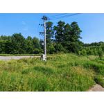 Zdjęcia użytkowników Honor Magic6 Pro