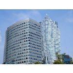 Zdjęcia użytkowników Honor Magic6 Pro