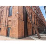 Zdjęcia użytkowników Honor Magic6 Pro