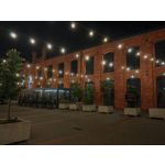 Zdjęcia użytkowników Honor Magic6 Pro