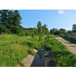 Zdjęcia użytkowników Honor Magic6 Pro