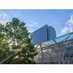 Zdjęcia użytkowników Honor Magic6 Pro