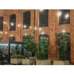 Zdjęcia użytkowników Honor Magic6 Pro