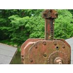 Zdjęcia użytkowników Honor Magic6 Pro