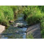 Zdjęcia użytkowników Honor Magic6 Pro