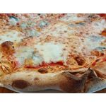 Zdjęcia użytkowników Honor Magic6 Pro