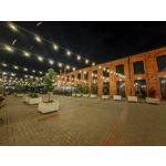 Zdjęcia użytkowników Honor Magic6 Pro