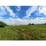 Zdjęcia użytkowników Honor Magic6 Pro