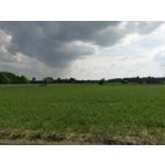 Zdjęcia użytkowników HTC 10