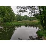 Zdjęcia użytkowników HTC 10
