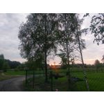 Zdjęcia użytkowników HTC 10