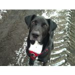 ZDJĘCIA Z TEGO TELEFONU