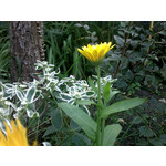 Zdjęcia użytkowników HTC 7 Mozart