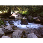 Zdjęcia użytkowników HTC 7 Pro