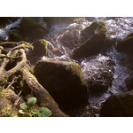 ZDJĘCIA Z TEGO TELEFONU