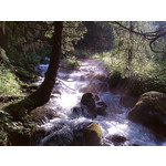 ZDJĘCIA Z TEGO TELEFONU