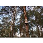 Zdjęcia użytkowników HTC Desire 12 Dual SIM