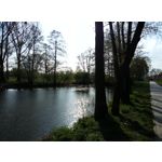 Zdjęcia użytkowników HTC Desire 12 Dual SIM