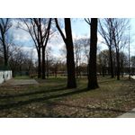 Zdjęcia użytkowników HTC Desire 12 Dual SIM