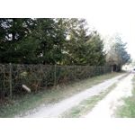 Zdjęcia użytkowników HTC Desire 12 Dual SIM