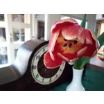 Zdjęcia użytkowników HTC Desire 12 Dual SIM