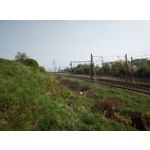 Zdjęcia użytkowników HTC Desire 12 Dual SIM