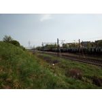 Zdjęcia użytkowników HTC Desire 12 Dual SIM