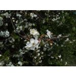 Zdjęcia użytkowników HTC Desire 12