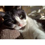 ZDJĘCIA Z TEGO TELEFONU