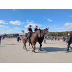 Zdjęcia użytkowników HTC Desire 19+