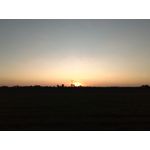 Zdjęcia użytkowników HTC Desire 19+