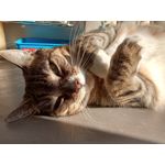 Zdjęcia użytkowników HTC Desire 19+