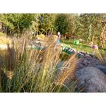 Zdjęcia użytkowników HTC Desire 19+