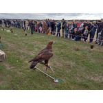 Zdjęcia użytkowników HTC Desire 19+