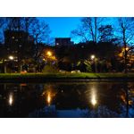 Zdjęcia użytkowników HTC Desire 21 Pro 5G