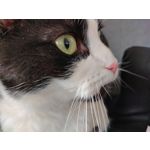 Zdjęcia użytkowników HTC Desire 21 Pro 5G
